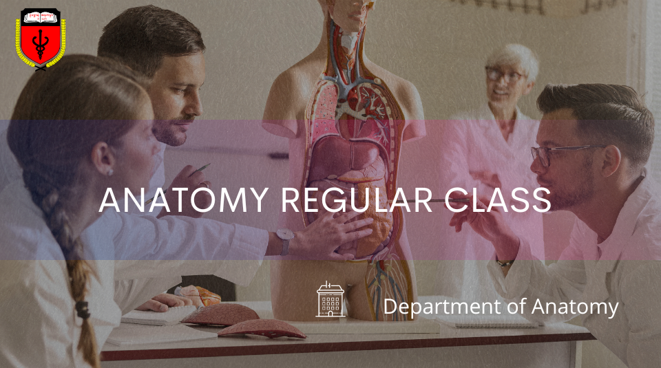 Second MB - Anatomy Regular Class (2022 - 2023)