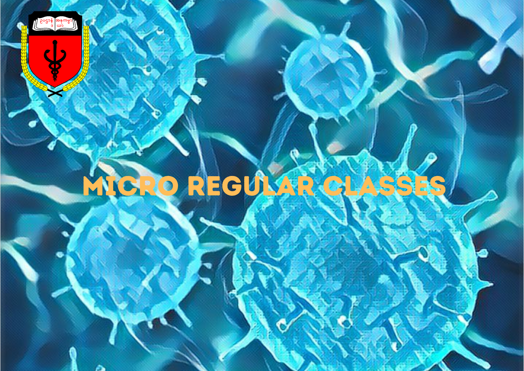 Third MB - Microbiology Course 1