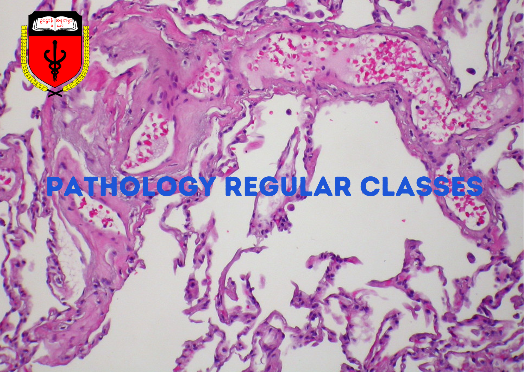 Third MB - Pathology Course 1